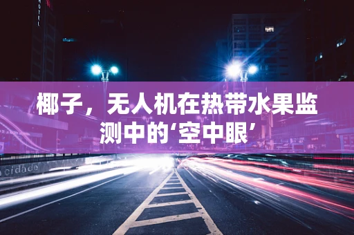 椰子，无人机在热带水果监测中的‘空中眼’
