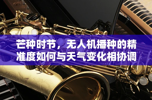 芒种时节，无人机播种的精准度如何与天气变化相协调？