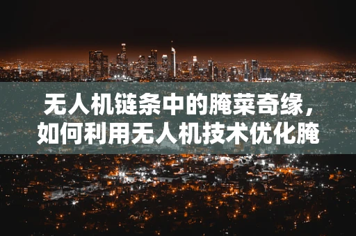 无人机链条中的腌菜奇缘，如何利用无人机技术优化腌菜配送？