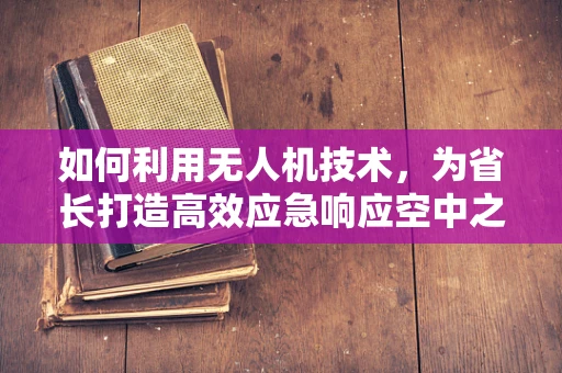如何利用无人机技术，为省长打造高效应急响应空中之眼？
