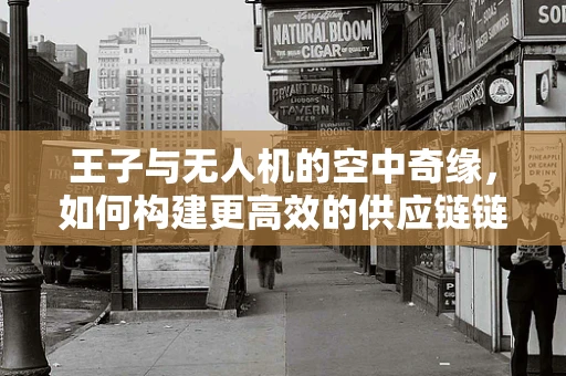 王子与无人机的空中奇缘，如何构建更高效的供应链链条？