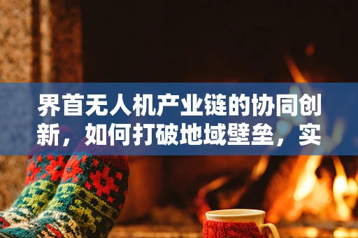 界首无人机产业链的协同创新，如何打破地域壁垒，实现高效整合？