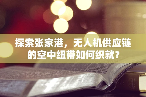 探索张家港，无人机供应链的空中纽带如何织就？