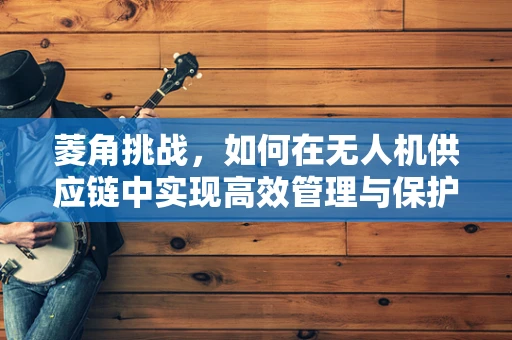 菱角挑战，如何在无人机供应链中实现高效管理与保护？