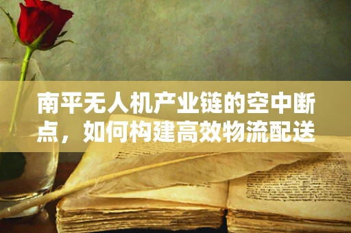 南平无人机产业链的空中断点，如何构建高效物流配送网络？
