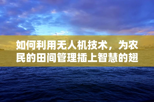 如何利用无人机技术，为农民的田间管理插上智慧的翅膀？