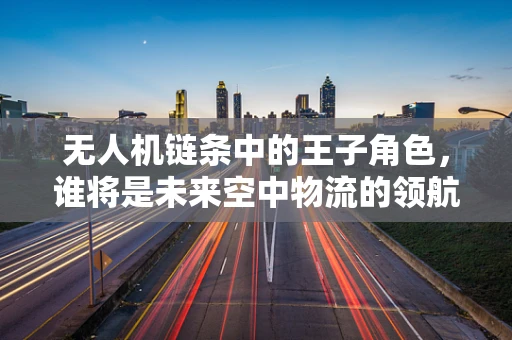 无人机链条中的王子角色，谁将是未来空中物流的领航者？