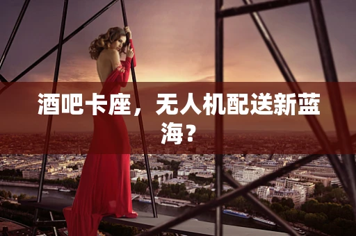 酒吧卡座，无人机配送新蓝海？