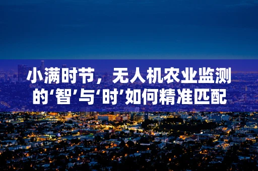 小满时节，无人机农业监测的‘智’与‘时’如何精准匹配？