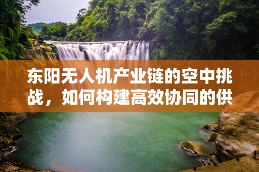 东阳无人机产业链的空中挑战，如何构建高效协同的供应链网络？