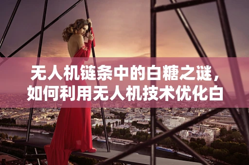 无人机链条中的白糖之谜，如何利用无人机技术优化白糖运输与监控？