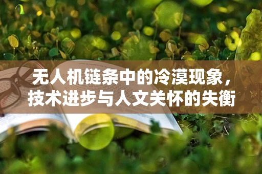 无人机链条中的冷漠现象，技术进步与人文关怀的失衡？
