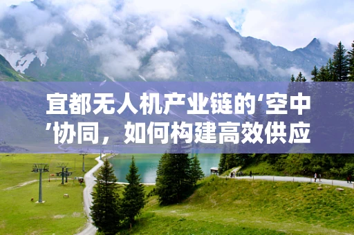 宜都无人机产业链的‘空中’协同，如何构建高效供应链？