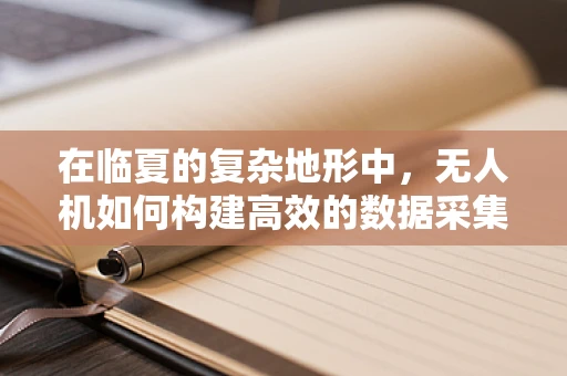 在临夏的复杂地形中，无人机如何构建高效的数据采集链条？