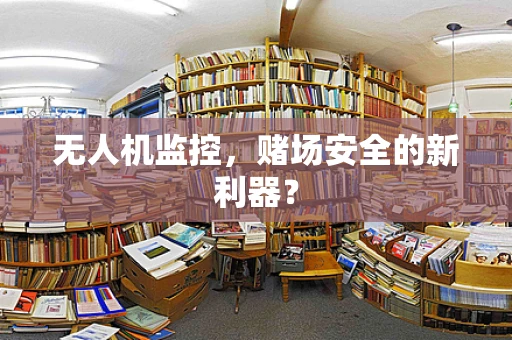 无人机监控，赌场安全的新利器？