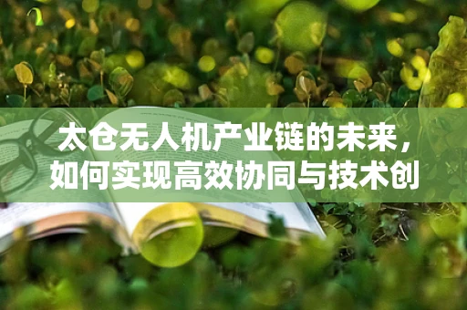 太仓无人机产业链的未来，如何实现高效协同与技术创新？