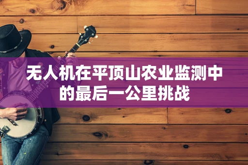 无人机在平顶山农业监测中的最后一公里挑战