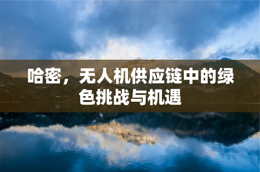 哈密，无人机供应链中的绿色挑战与机遇