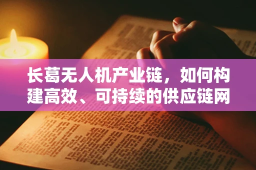 长葛无人机产业链，如何构建高效、可持续的供应链网络？