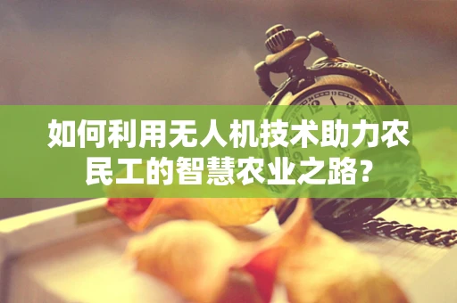 如何利用无人机技术助力农民工的智慧农业之路？