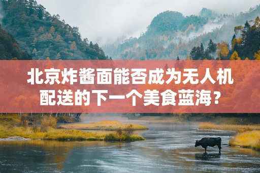 北京炸酱面能否成为无人机配送的下一个美食蓝海？