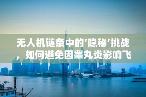 无人机链条中的‘隐秘’挑战，如何避免因睾丸炎影响飞行安全？