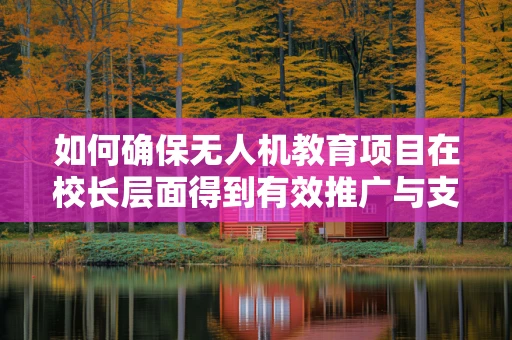 如何确保无人机教育项目在校长层面得到有效推广与支持？