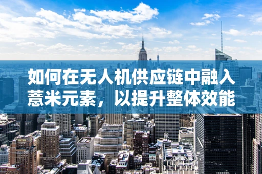 如何在无人机供应链中融入薏米元素，以提升整体效能？