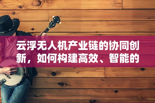 云浮无人机产业链的协同创新，如何构建高效、智能的空中物流网络？