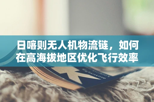 日喀则无人机物流链，如何在高海拔地区优化飞行效率与安全？