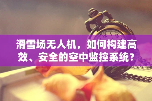 滑雪场无人机，如何构建高效、安全的空中监控系统？
