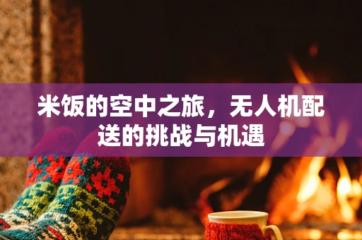 米饭的空中之旅，无人机配送的挑战与机遇