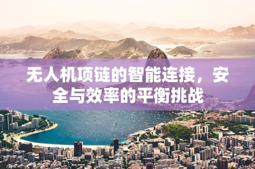 无人机项链的智能连接，安全与效率的平衡挑战