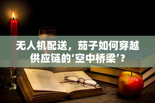 无人机配送，茄子如何穿越供应链的‘空中桥梁’？