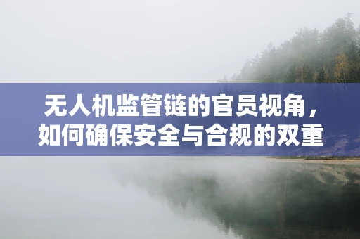 无人机监管链的官员视角，如何确保安全与合规的双重保障？