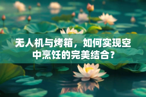 无人机与烤箱，如何实现空中烹饪的完美结合？