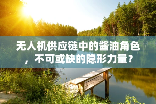 无人机供应链中的酱油角色，不可或缺的隐形力量？