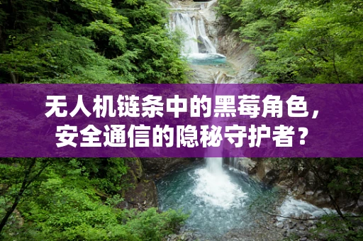 无人机链条中的黑莓角色，安全通信的隐秘守护者？