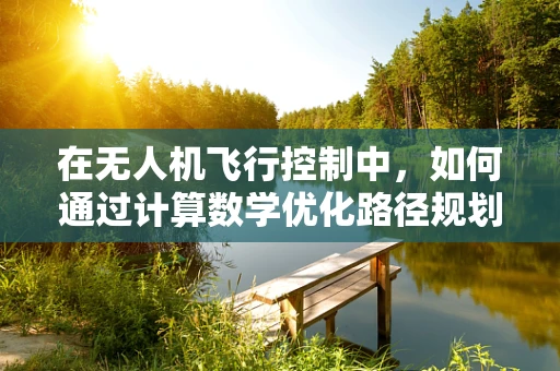在无人机飞行控制中，如何通过计算数学优化路径规划以提升飞行效率？