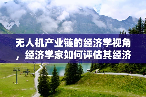 无人机产业链的经济学视角，经济学家如何评估其经济影响？