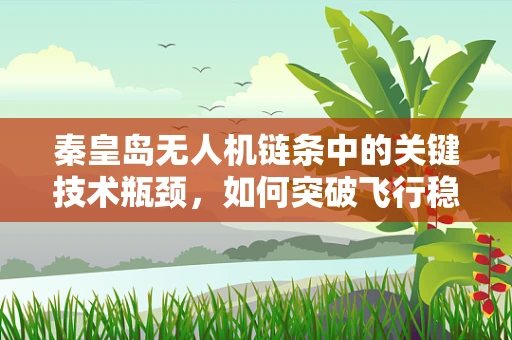 秦皇岛无人机链条中的关键技术瓶颈，如何突破飞行稳定性的挑战？