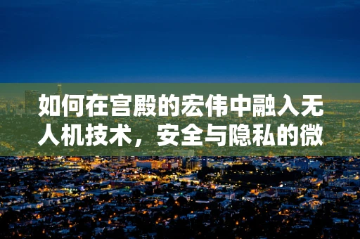 如何在宫殿的宏伟中融入无人机技术，安全与隐私的微妙平衡？