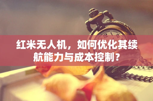 红米无人机，如何优化其续航能力与成本控制？
