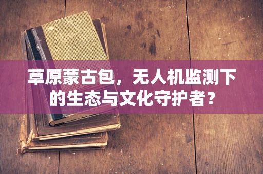 草原蒙古包，无人机监测下的生态与文化守护者？