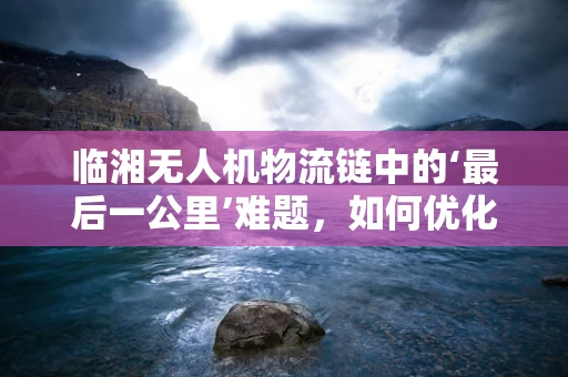 临湘无人机物流链中的‘最后一公里’难题，如何优化城市配送效率？