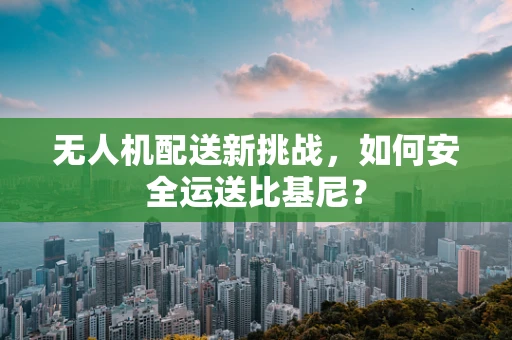 无人机配送新挑战，如何安全运送比基尼？