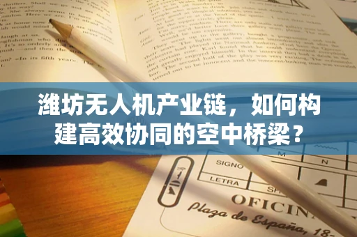 潍坊无人机产业链，如何构建高效协同的空中桥梁？