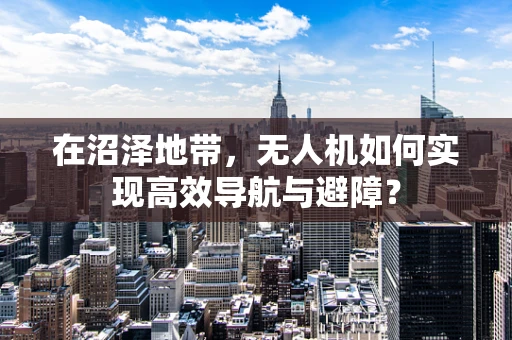 在沼泽地带，无人机如何实现高效导航与避障？