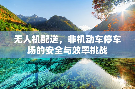 无人机配送，非机动车停车场的安全与效率挑战