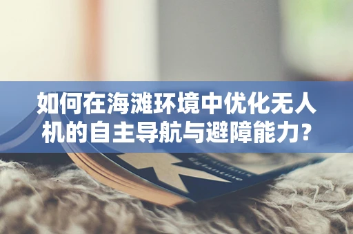 如何在海滩环境中优化无人机的自主导航与避障能力？